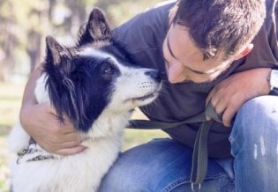 Ученые выяснили, нравится ли собакам, когда их обнимают