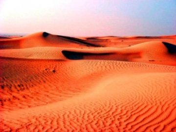 Как «здоровая» пустыня может приносить прибыль?
