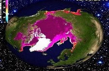 ﻿ Рекордно низкая площадь льда в Арктике