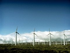 Британия побила рекорд по выработке энергии ветра