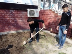 В Узбекистане состоялся всенародный хашар по санитарному оздоровлению территорий, благоустройству и озеленению