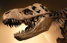 ​ Kutilmagan topilma: Dinozavrlar yana qaytadimi?